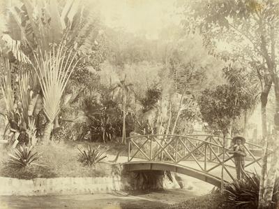 Menino em jardim de Petrópolis