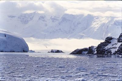 Aventuras de Igor na Antártida