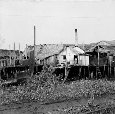 Vila da Barca, palafitas flutuantes