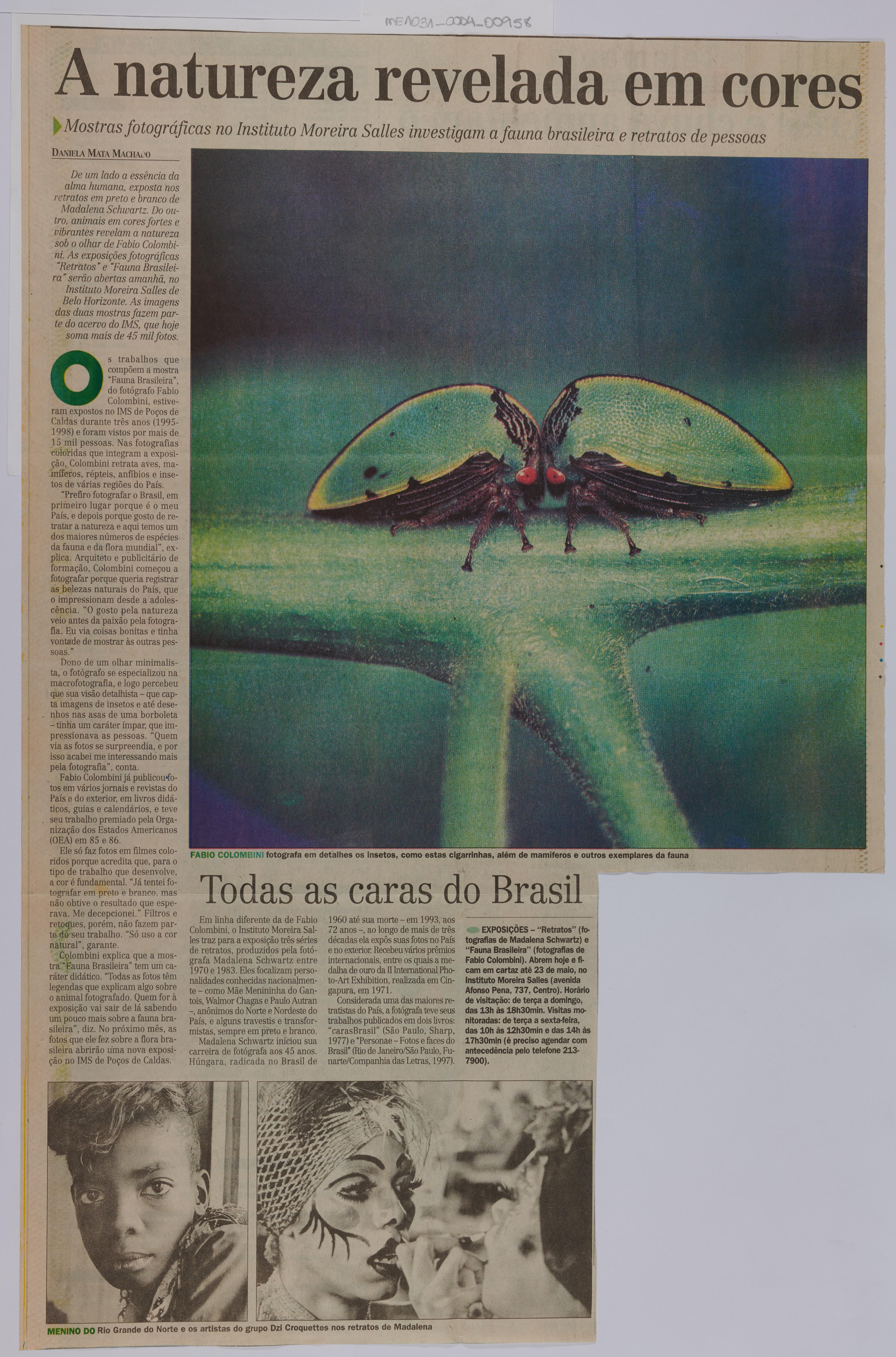 A Natureza Revela em Cores: Mostras fotográficas no Instituto Moreira Salles in-;vestigam a fauna brasileira e retratos de pessoas