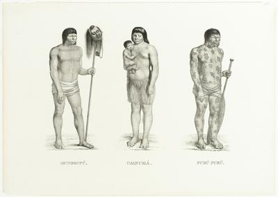 (Mundurucús. Uainumás. Purú-Purús)