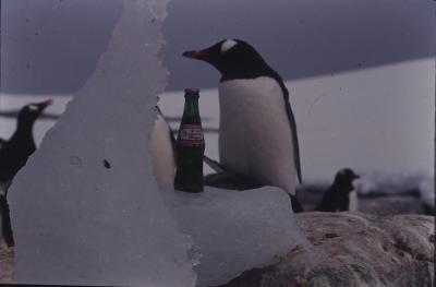 Ensaio de merchandising para o Guaraná Antarctica