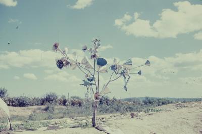 Funis à venda na rodovia Rio-Bahia