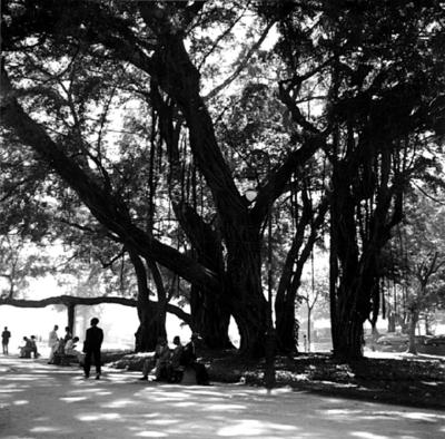 Panoramas, Campo de Santana