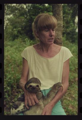 Heidi e as preguiças