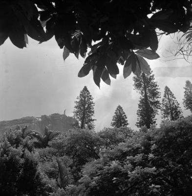 Jardim do Parque Lage