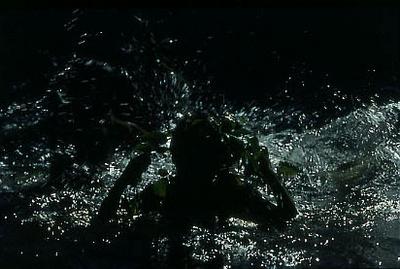 Série Xingu - Banho de rio