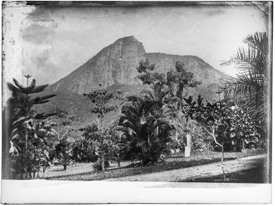 Morro do Corcovado a partir do Jardim Botânico