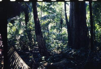 Projeto "Navegar Amazônia"