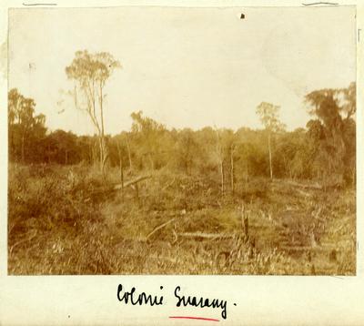 Colônia Guarani (atual Guarani das Missões)
