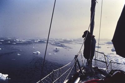 Aventuras de Igor na Antártida