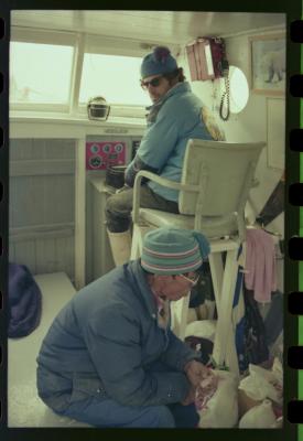 Viagem com a bióloga Livia Monami para registrar a caça da baleia branca