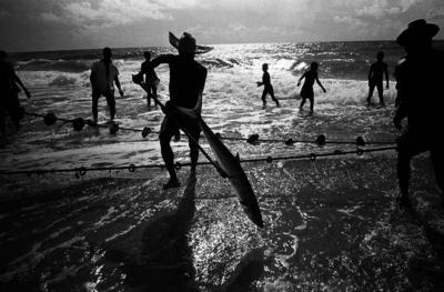 Série Pesca do xaréu