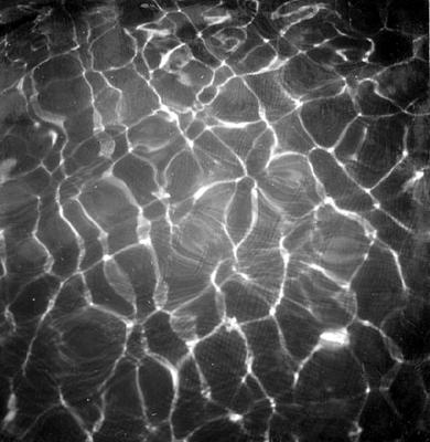 Residência Alberto Niemeyer, painel aquático