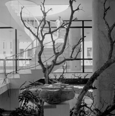 Exposição na primeira sede do Museu de Arte Moderna da Bahia