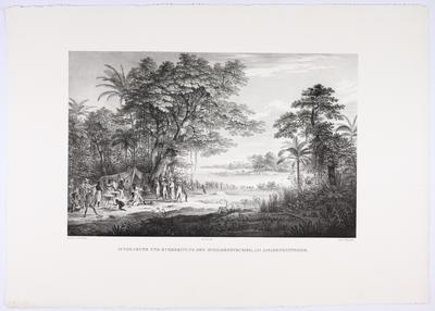 (Escavação e preparo dos ovos de tartaruga no Rio Amazonas)