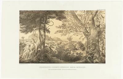 (Vista do aqueduto de São Sebastião [do Rio de Janeiro] a partir do horto do subúrbio de Mata-Cavalos)