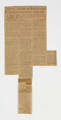 Cogumelo existente no México capaz de produzir alucinações coloridas