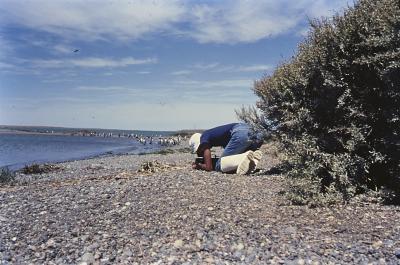 Jorge Bodanzky filmando