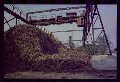 Produção de filme institucional sobre usinas de açúcar