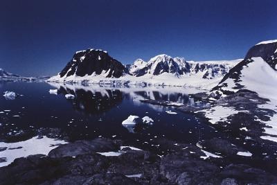 Aventuras de Igor na Antártida