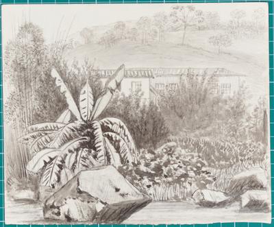 Bennett's Cottage & Garden Tijuca from the Garden. April 1854 -