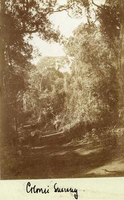 Colônia Guarani (atual Guarani das Missões)