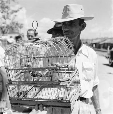 Feira dos Passarinhos