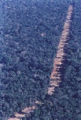 Vista aérea de estrada em meio à floresta