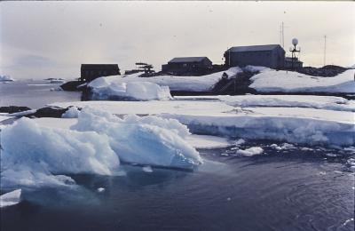 Aventuras de Igor na Antártida