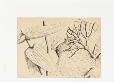 [Planta com um pássaro]