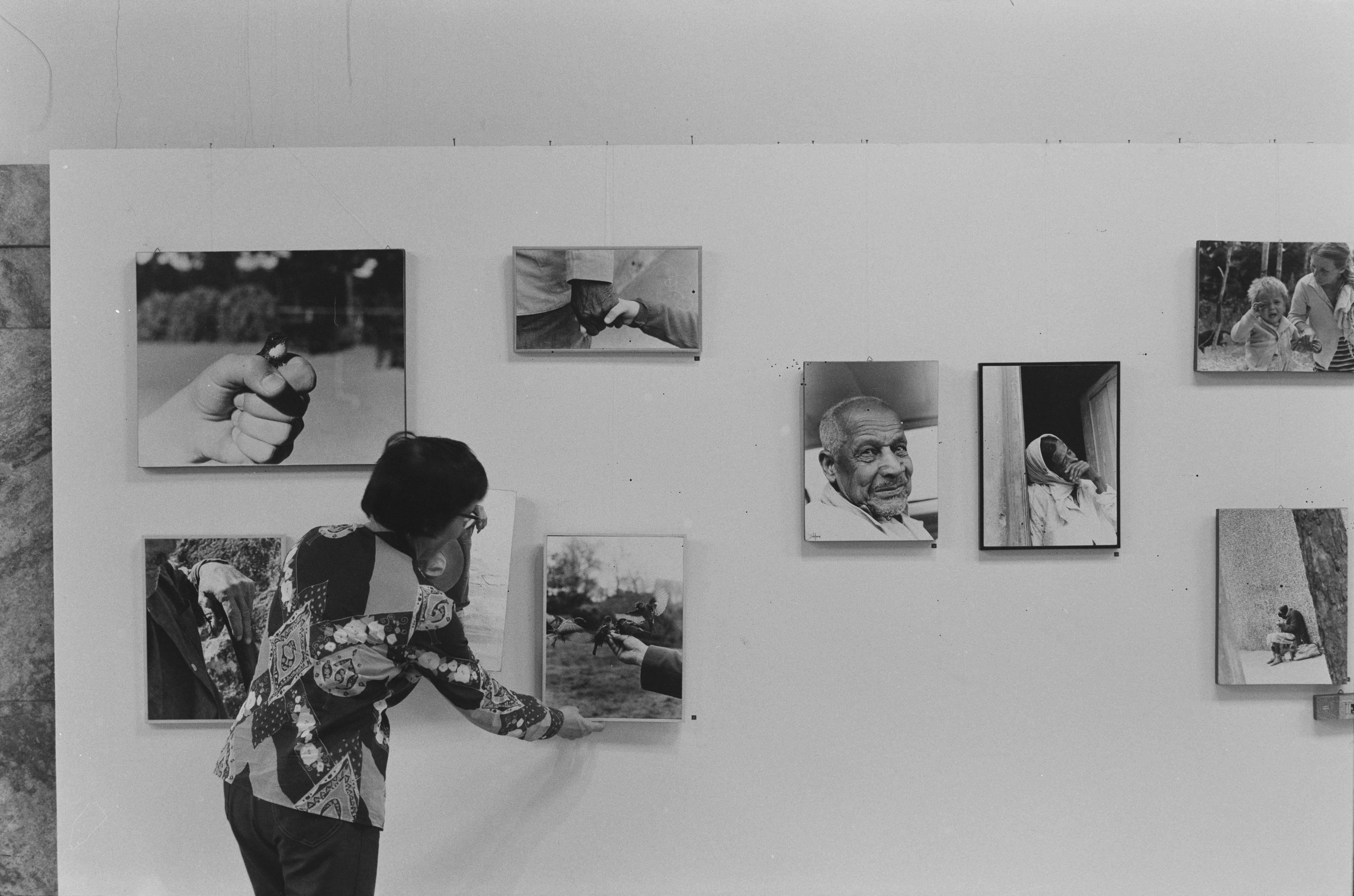 Exposição individual de Stefania Bril