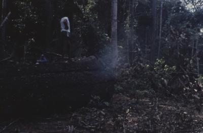 Expedição Pico da Neblina