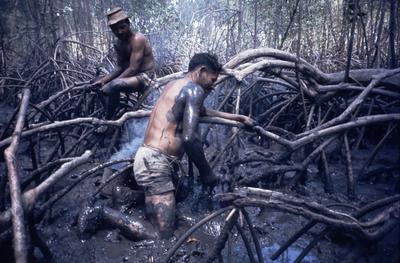 Série Caranguejeiras - Catadores de caranguejos