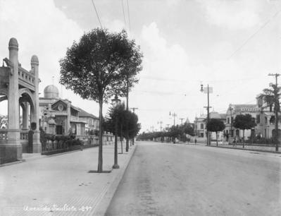 Avenida Paulista - Belvedere do Trianon