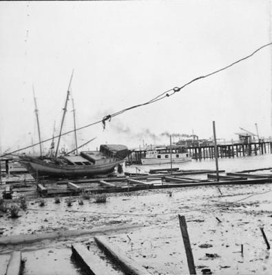 Vila da Barca, barcos