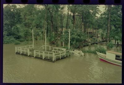 Projeto Navegar Amazônia