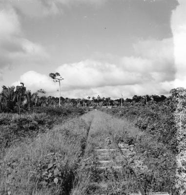 Série "Estrada de Ferro Tocantins"