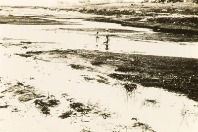 Proximidades do Engenho Itapuá