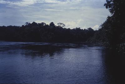 Expedição Pico da Neblina