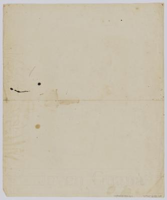 Jovem Guaná [Terena]