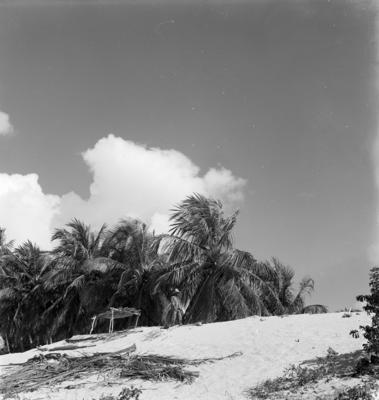 Jangadas e jangadeiros