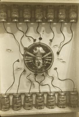 Reprodução de obra