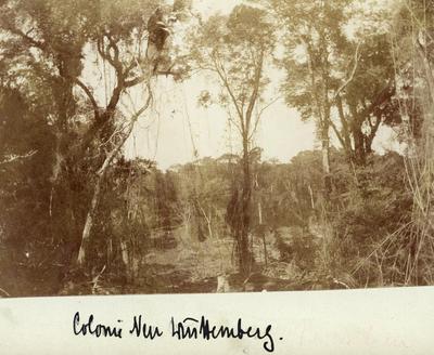 Colônia Nova Württemberg (atual Panambi)