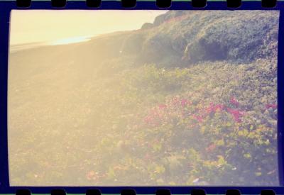 Viagem com a bióloga Livia Monami para registrar a caça da baleia branca