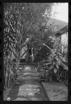 Em busca de fazendas para locacações do filme Os Herdeiros, de Cacá Diegues