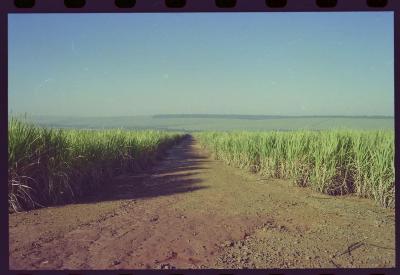 Produção de filme institucional sobre usinas de açúcar