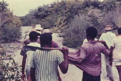 Roça no quilombo de Sibaúma