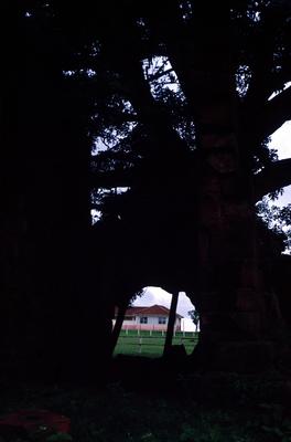 Ruínas de São Nicolau