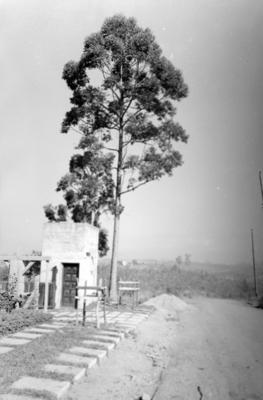 Campanha publicitária da Aracruz Celulose